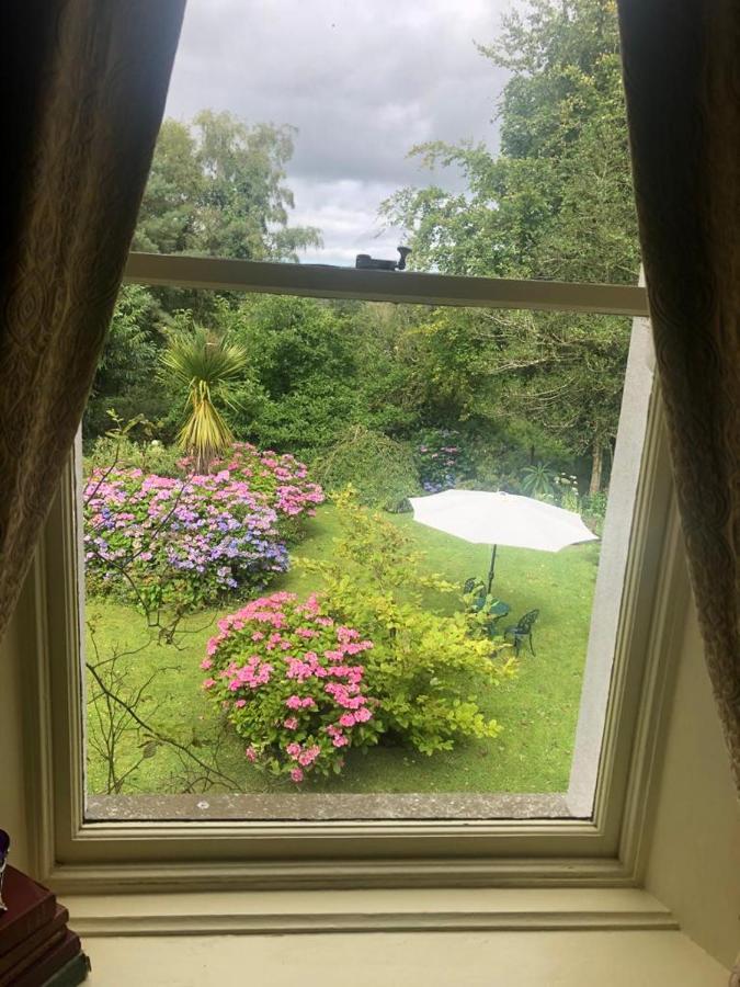 スライゴ Heathfield House Bed & Breakfast エクステリア 写真